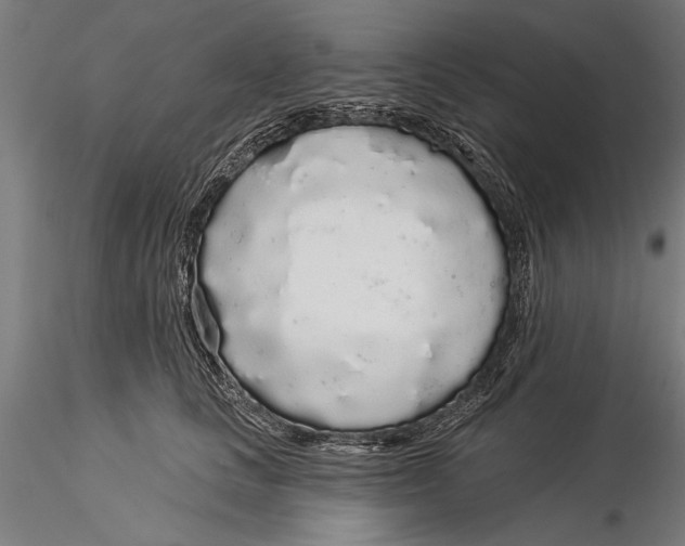 X0000116040661200912111441