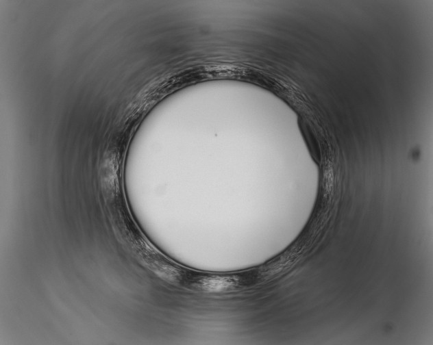 X0000116040662200912111441