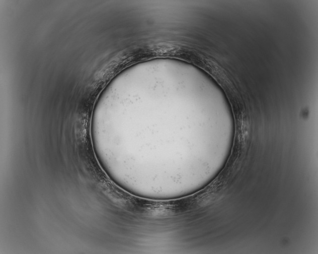 X0000116040664200912111441