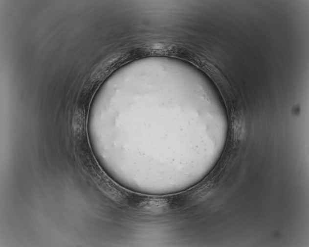 X0000116040665200912111441