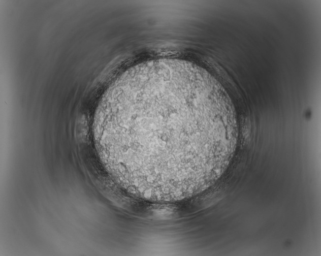 X0000116040667200912111441