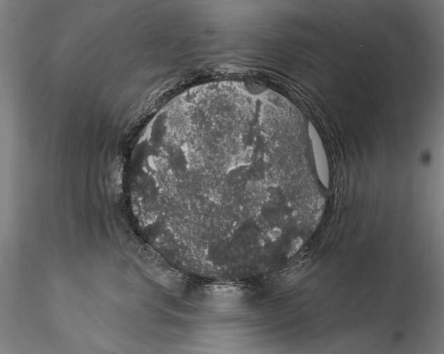 X0000116040668200912111441