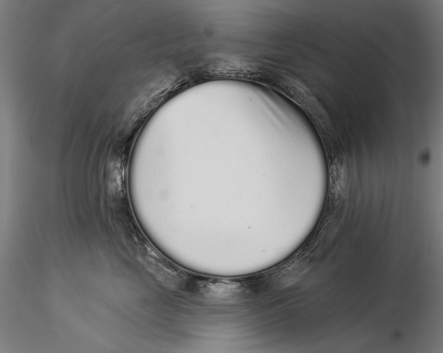 X0000116040669200912111441