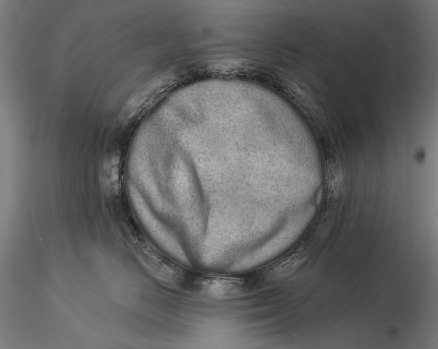 X0000116040670200912111441