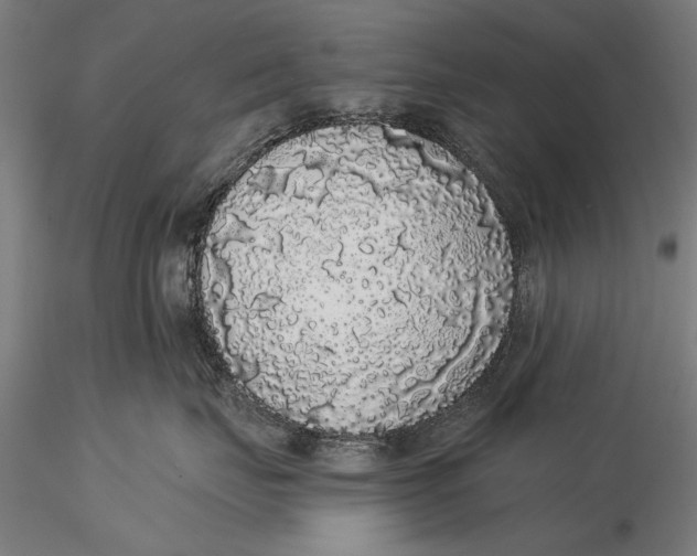 X0000116040671200912111441