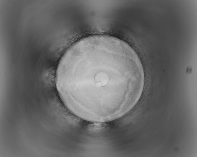 X0000116040672200912111441