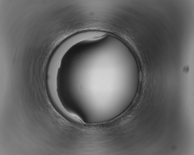 X0000116040673200912111440