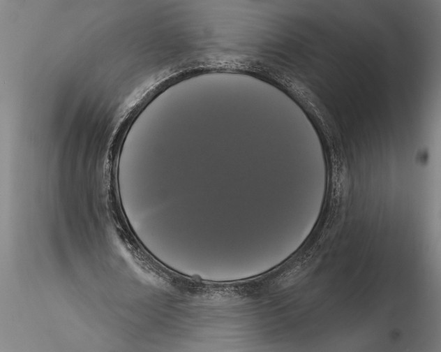 X0000116040674200912111440