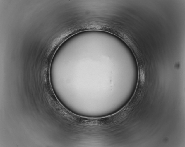 X0000116040675200912111440