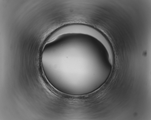 X0000116040677200912111440