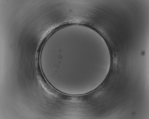 X0000116040678200912111440