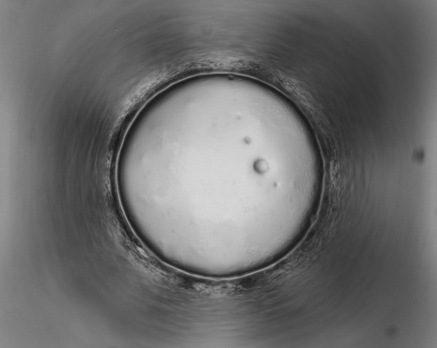 X0000116040679200912111440