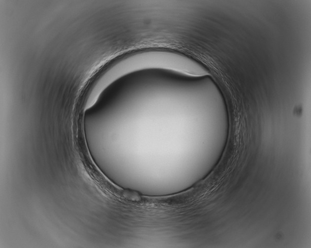 X0000116040680200912111440