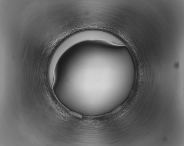 X0000116040681200912111440