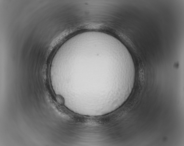 X0000116040682200912111440