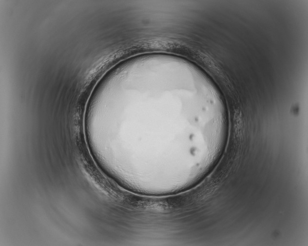 X0000116040683200912111440