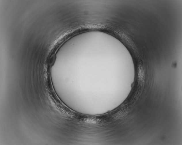 X0000116040684200912111440