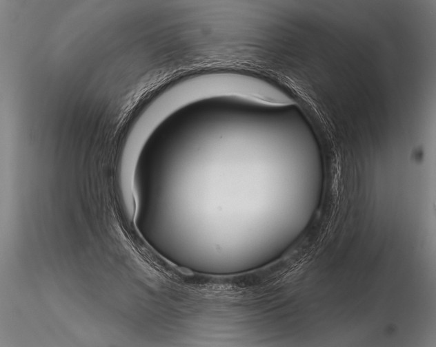 X0000116040685200912111440