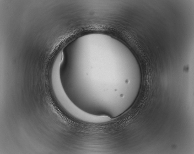 X0000116040688200912111440