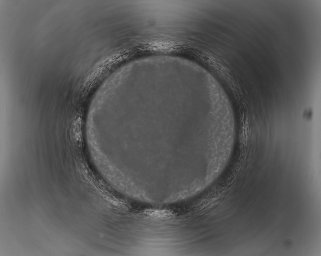 X0000116040689200912111440