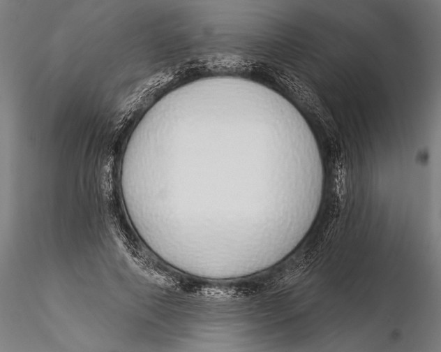 X0000116040690200912111440