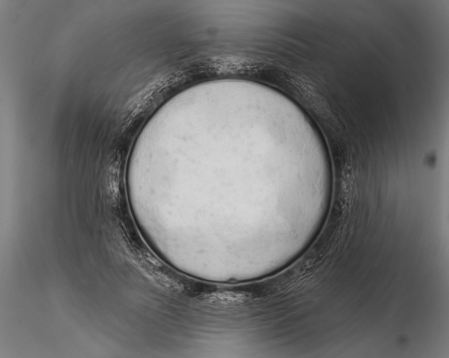 X0000116040691200912111440