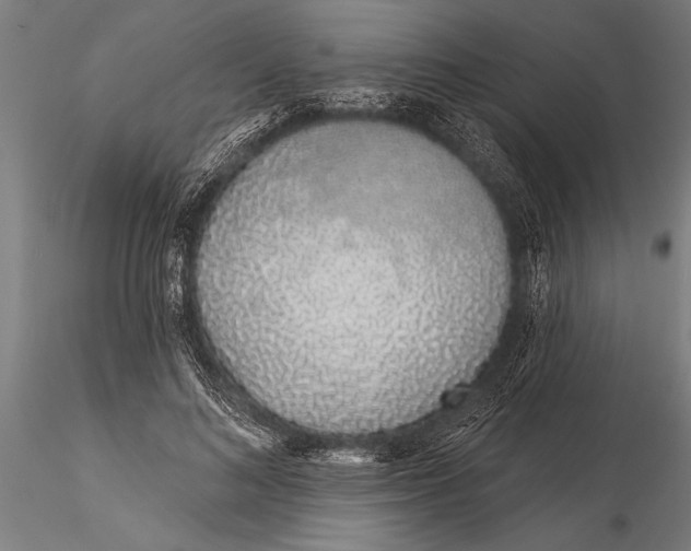 X0000116040692200912111440