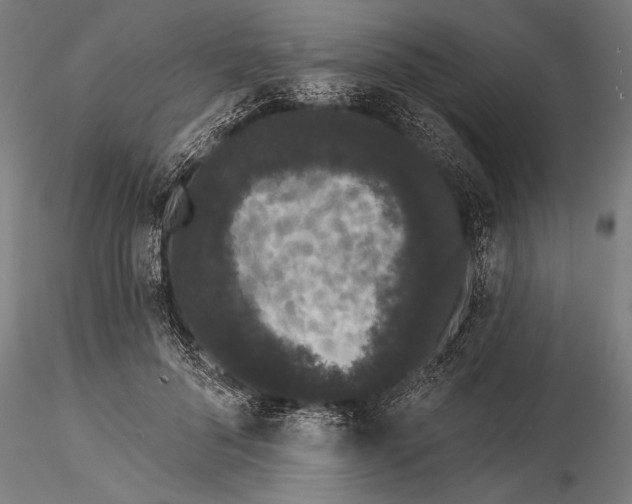 X0000116040696200912111440