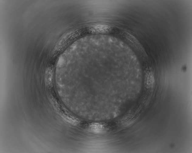 X0000116040701200912111440