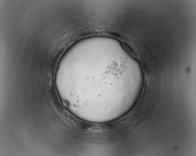 X0000116040703200912111440