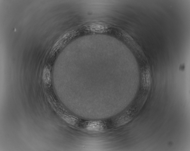 X0000116040705200912111440