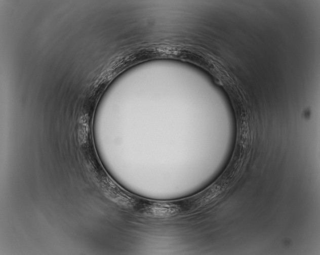 X0000116040707200912111440