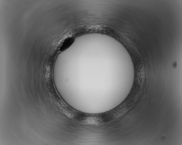 X0000116040708200912111440