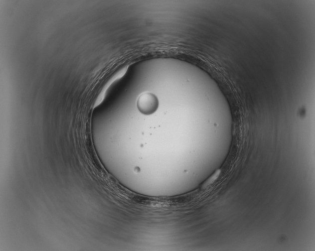 X0000116040709200912111440