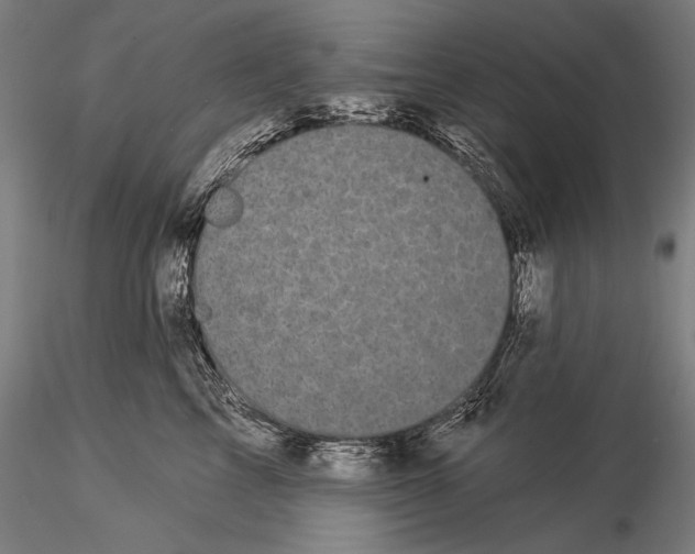 X0000116040713200912111440