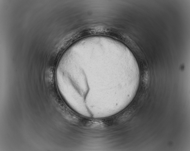 X0000116040715200912111439