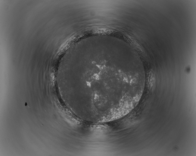 X0000116040716200912111439