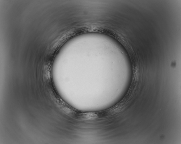 X0000116040719200912111439