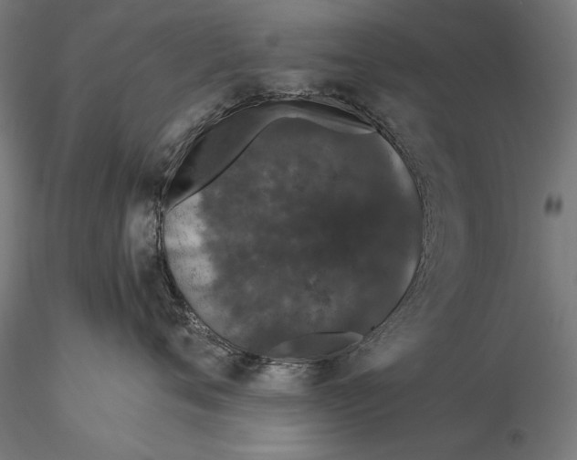 X0000116040720200912111439