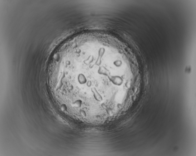 X0000116040721200912111439