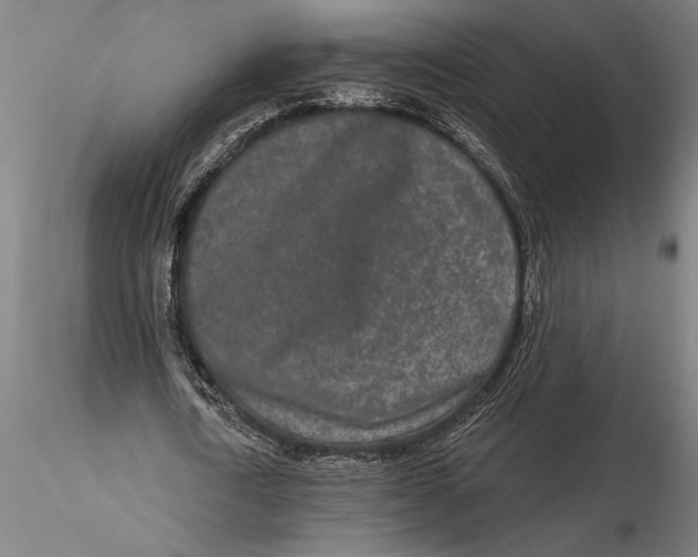 X0000116040722200912111439