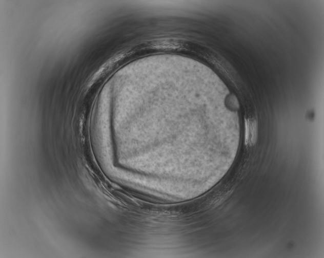 X0000116040723200912111439