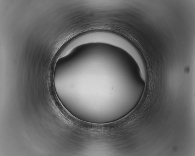 X0000116040725200912111439