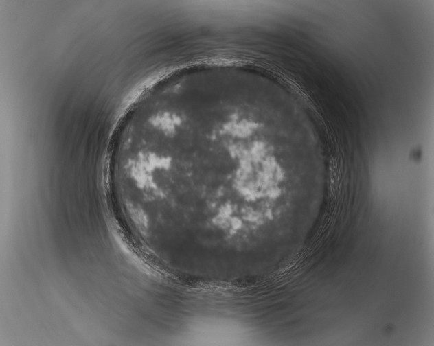 X0000116040726200912111439