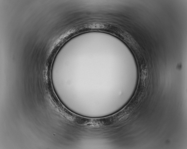 X0000116040727200912111439