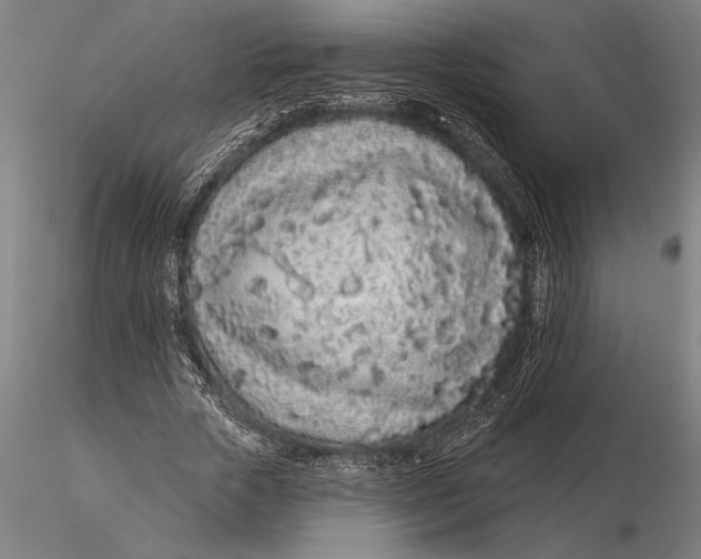 X0000116040729200912111439