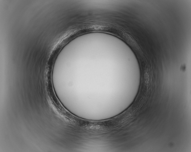 X0000116040730200912111439