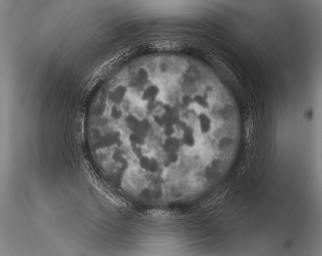 X0000116040733200912111439