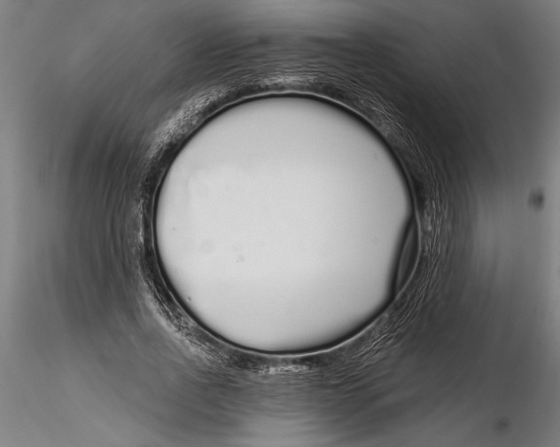 X0000116040734200912111439