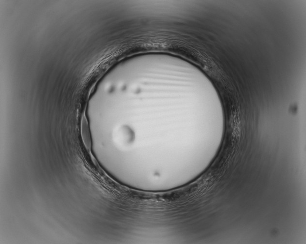 X0000116040735200912111439